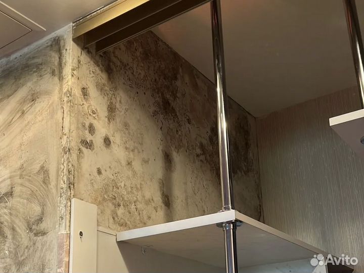 Уничтожение клопов тараканов дезинфекция плесени