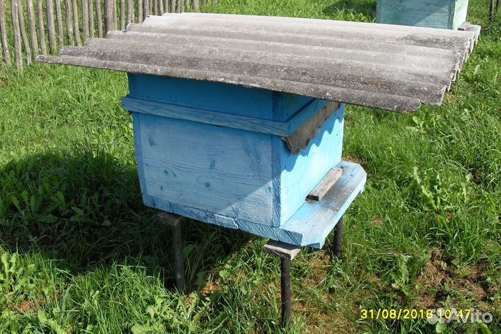 Продам пчел