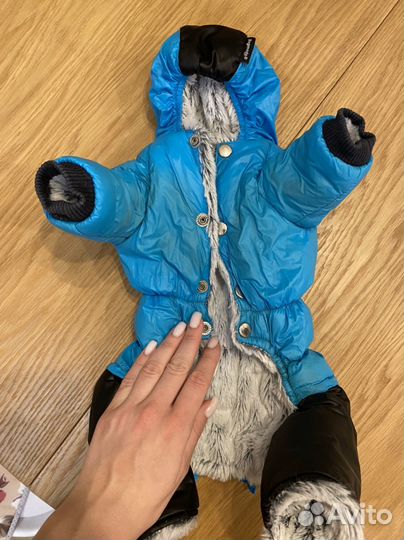 Комбинезон для собаки