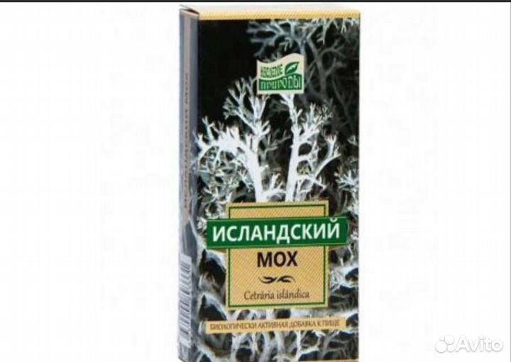 Исландский мох