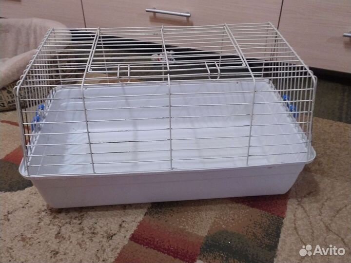 Клетки для морской свинк