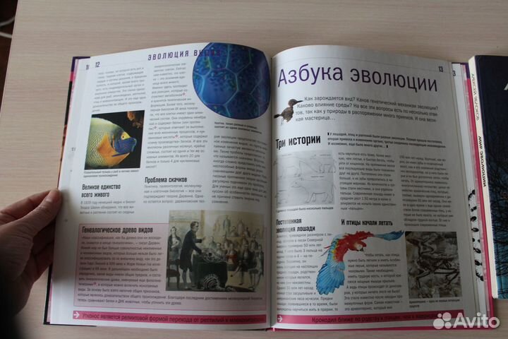 Детские книги про эволюцию человека