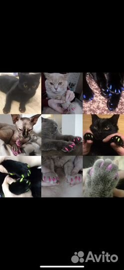 Колпачки на когти котикам