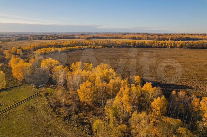 Участок 31,98 га (СНТ, ДНП)