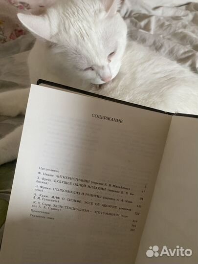 Сумерки богов 1989