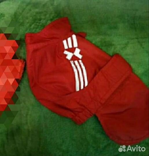 Собакам одежда, шапки, шлейки,миски