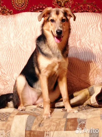 Девочка в добрые ручки