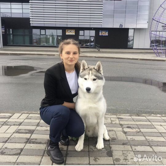 Грумер/груминг
