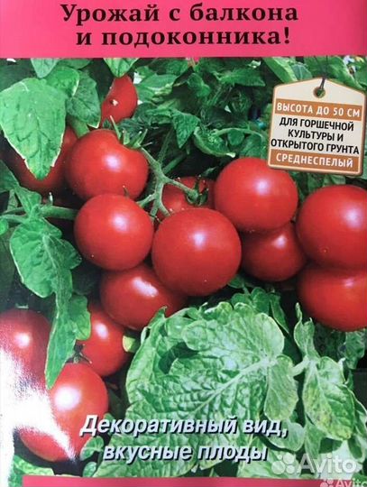 Балконное чудо рассада