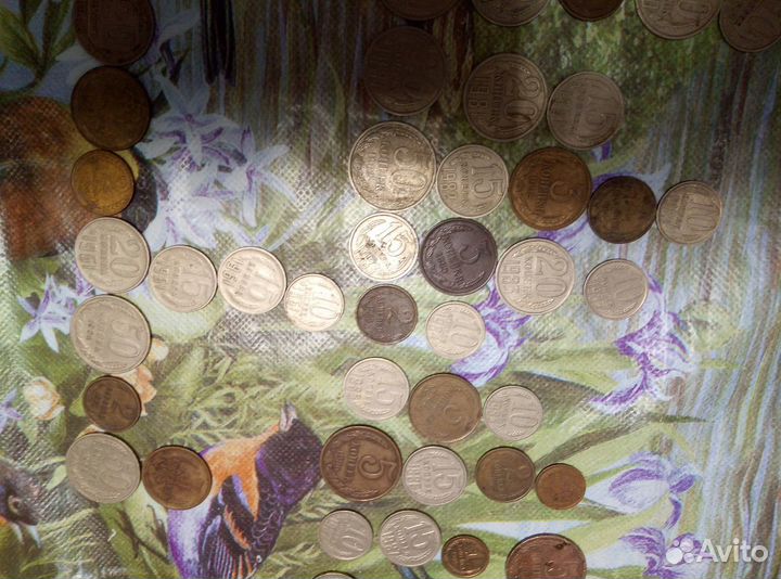Монеты