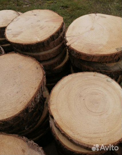 Спилы деревьев торцевые