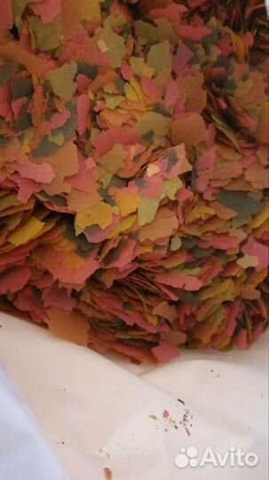 Живые корма для всех видов аквариумных рыб