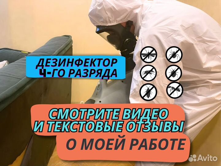 Уничтожение тараканов клопов грызунов клещей