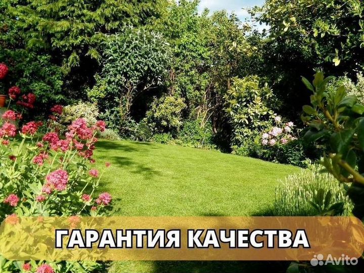 Продажа рулонного газона под ключ