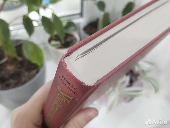 Томас Моррис Убийство на вокзале Бомбора детектив