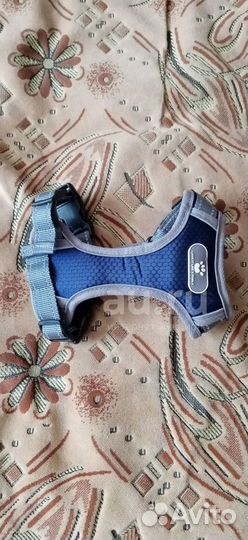 Шлейка для собаки размер S