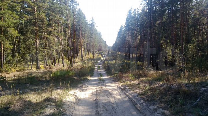 Участок 1,3 га (СНТ, ДНП)