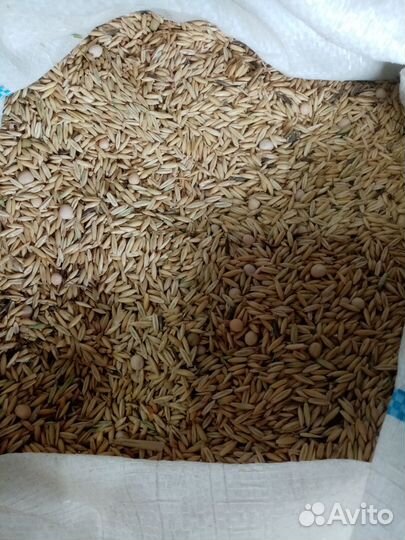 Корма для животных