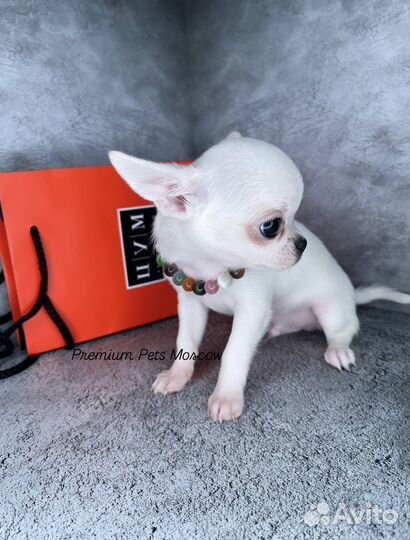 Кукольный super mini мальчик