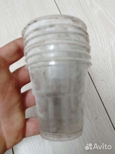 Стаканы для рассады