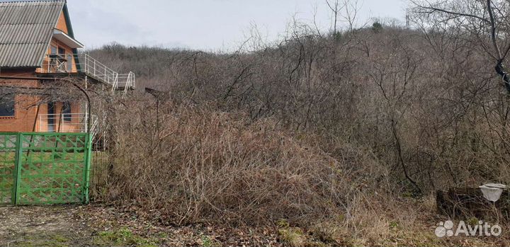 Покос травы, спил деревьев, расчистка участков