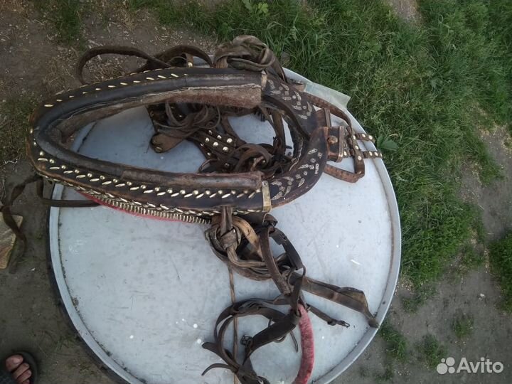 Сбруя наборная