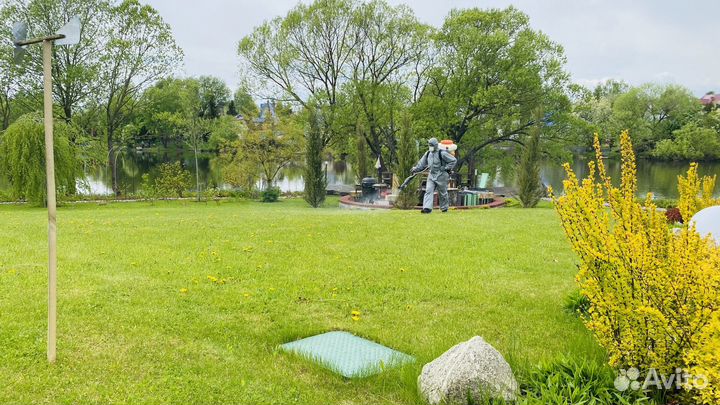 Уничтожение клещей,комаров,муравьев,ос,змей