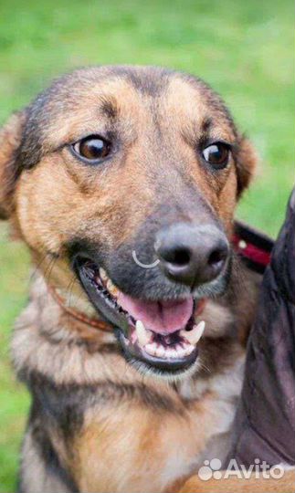 Мальчик из,черного приюта