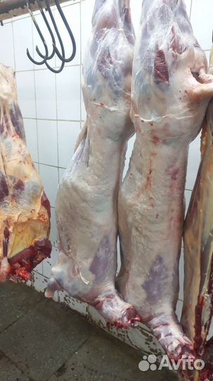 Мясо халяль, говядина, баранина