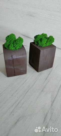 Кашпо со стабилизированным мхом