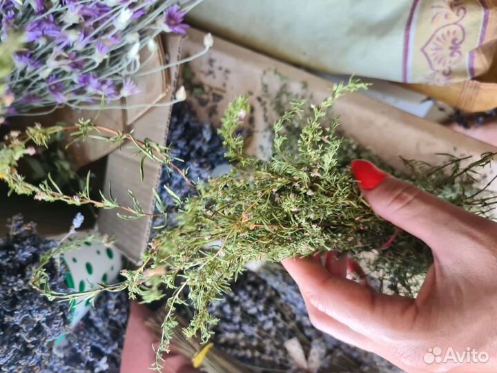 Букет из сухоцветов,сухоцвет