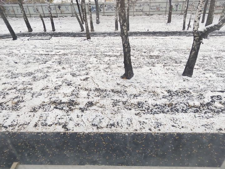 2-к. квартира, 41,2 м², 3/5 эт.