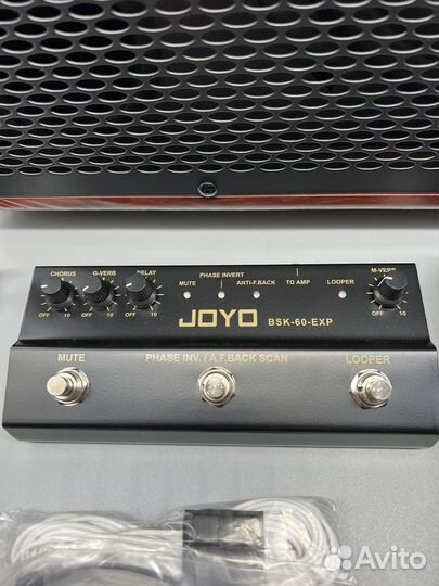 Joyo BSK-60 Комбоусилитель с лупером