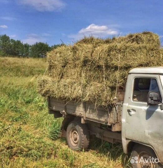 Сено в тюках