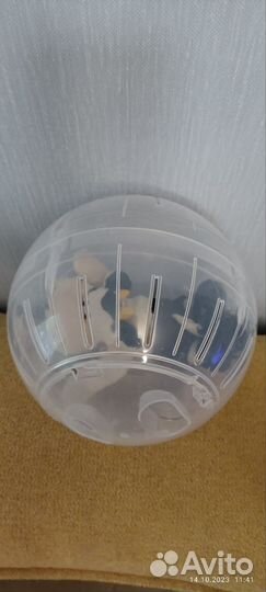 Прогулочный шар для грызунов