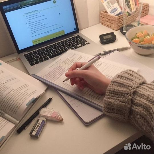 Напишу сочинение/эссе/доклад