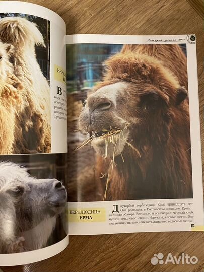 Книга липецкий зоопарк