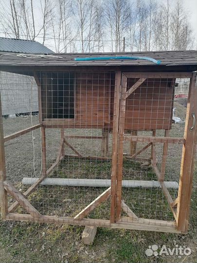 Курятник на 10 кур