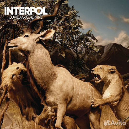 Виниловая пластинка Interpol - Our Love To Admire