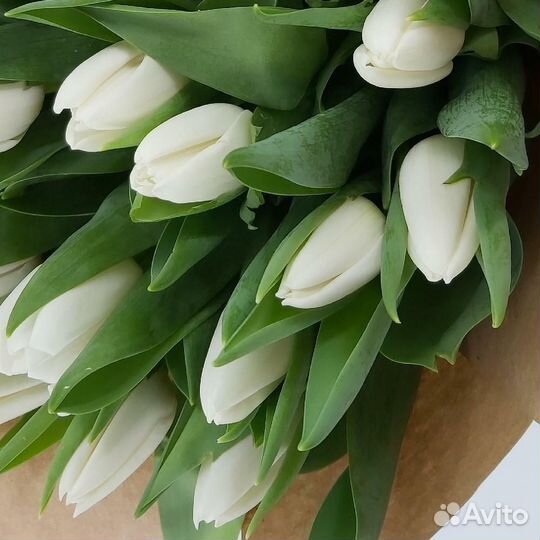 Тюльпаны на 8 марта все цвета