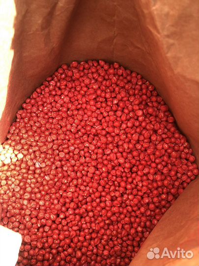 Оригинальные семена кукурузы Bayer дкс Монсанто