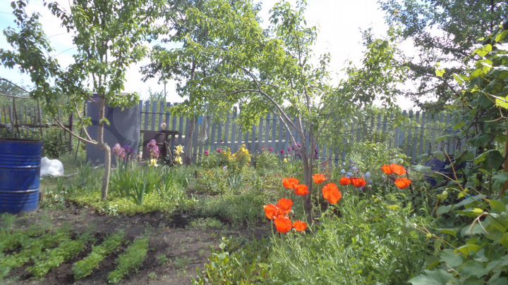 Дача 24 м² на участке 8 сот.