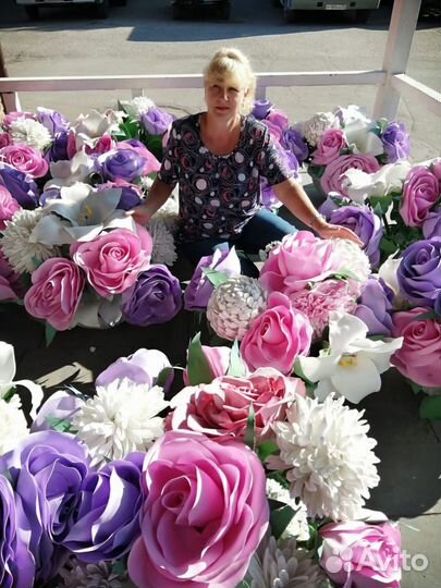 Передержка кошек