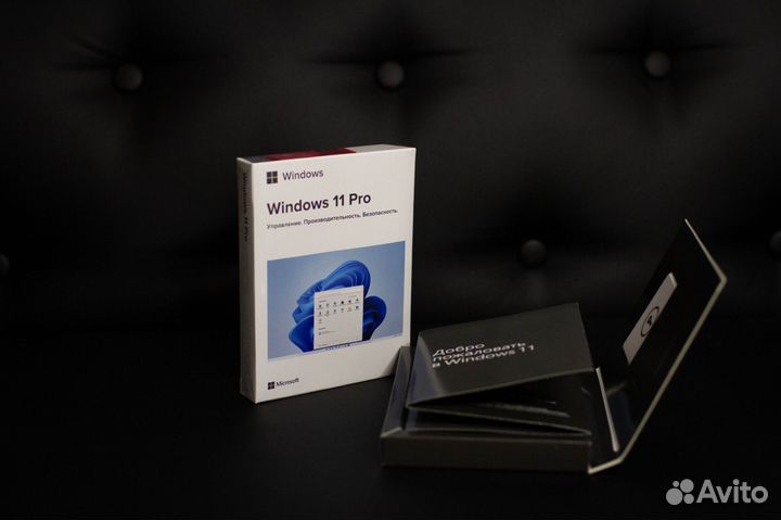 Windows 11 Pro BOX