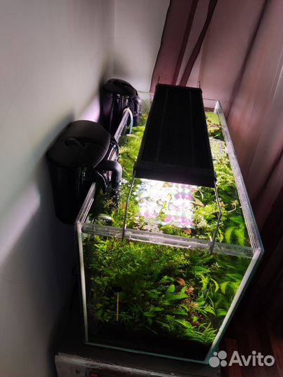 Аквариум