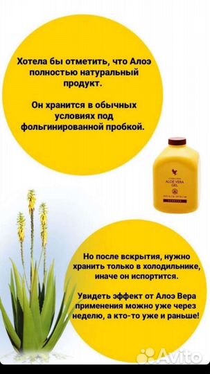 Forever фреш 5 видов