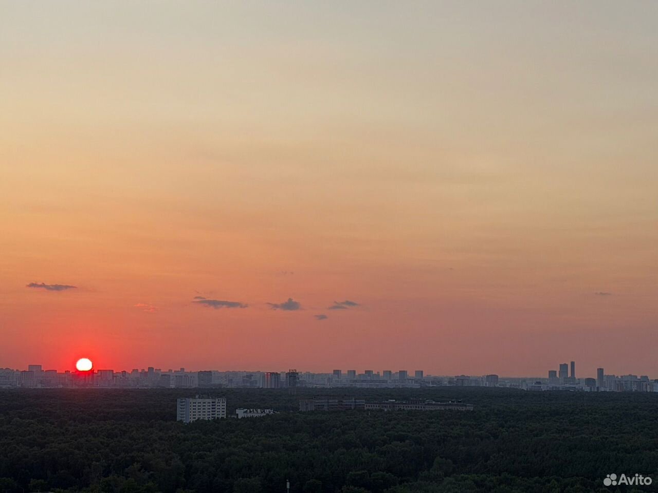Студия в аренду, Москва, Открытое ш. 18Ак1 — 64 990 ₽/мес