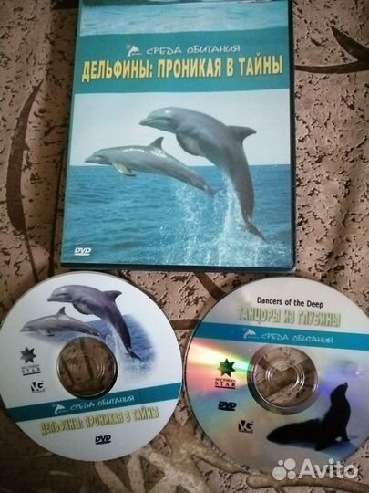DVD и Mp3 диски