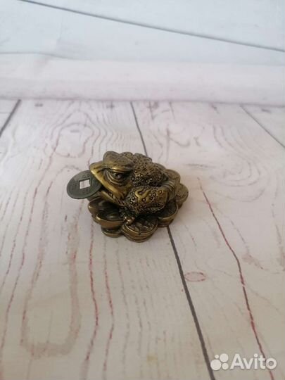 Денежное дерево, денежная жаба