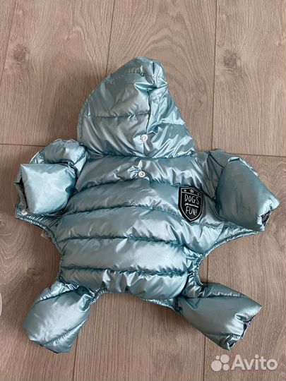 Одежда для собак